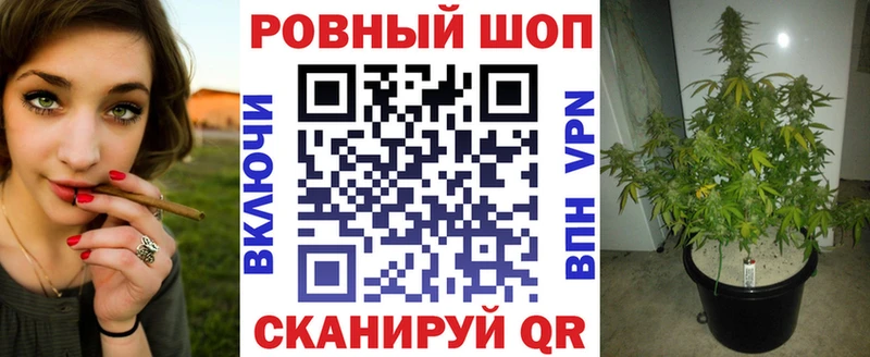 Купить наркотик аптеки Петропавловск-Камчатский ГАШ  Кокаин  МДМА  Меф мяу мяу  Галлюциногенные грибы 