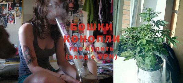 крисы Аркадак
