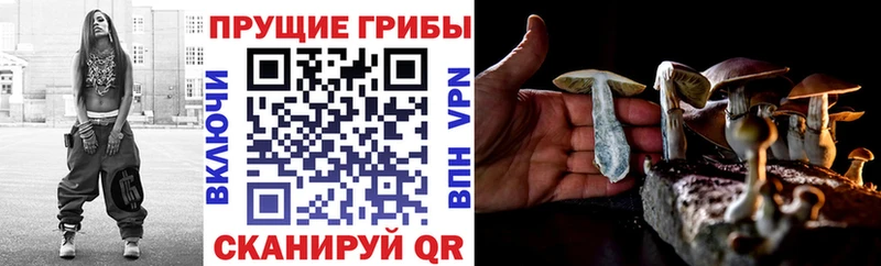 Галлюциногенные грибы мухоморы  как найти закладки  Петропавловск-Камчатский 