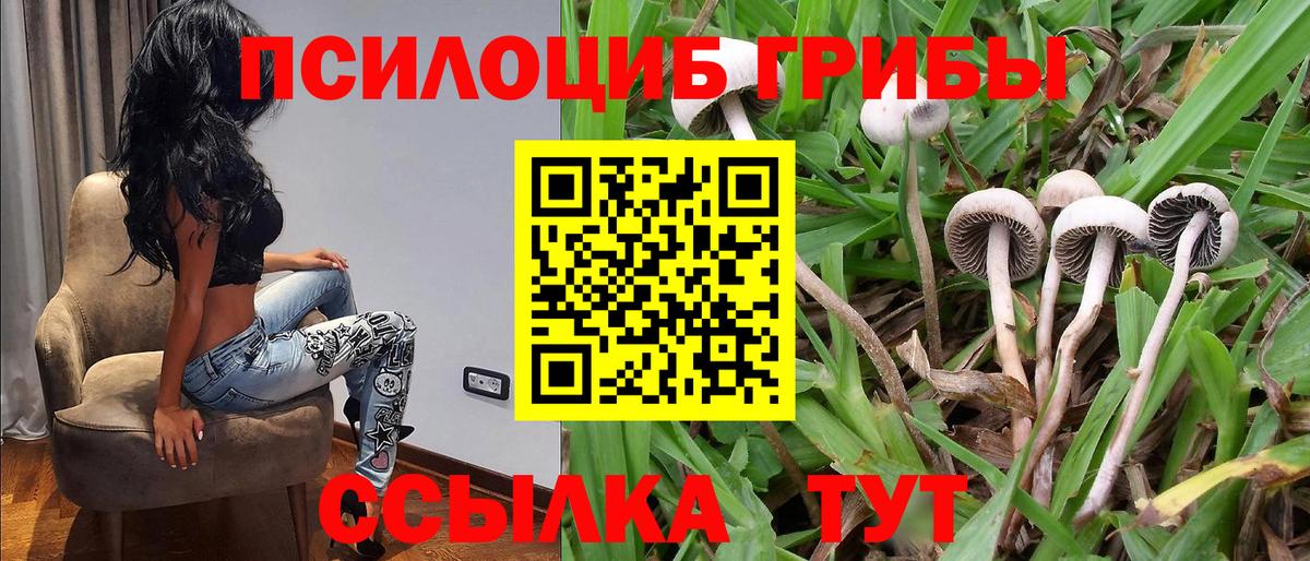 Петропавловск-Камчатский  Галлюциногенные грибы мухоморы  Вход с VPN 
